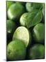 Limes, Several Whole and One Halved-Vladimir Shulevsky-Mounted Premium Photographic Print