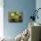 Limes, Two Whole and One Halved in a Small Basket-Eising Studio - Food Photo and Video-Photographic Print displayed on a wall