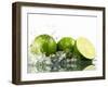 Limes with Splashing Water-Michael L?ffler-Framed Premium Photographic Print