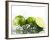 Limes with Splashing Water-Michael L?ffler-Framed Photographic Print