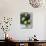 Limes-Jan-peter Westermann-Photographic Print displayed on a wall