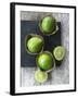 Limes-Jan-peter Westermann-Framed Photographic Print