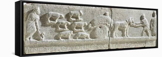Limestone Bas-Relief Showing Transhumance Scene, from Sulmona, Italy BC-null-Framed Stretched Canvas