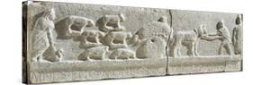 Limestone Bas-Relief Showing Transhumance Scene, from Sulmona, Italy BC-null-Stretched Canvas