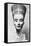 Limestone Bust of Queen Nefertiti-null-Framed Stretched Canvas