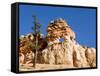 Limestone Formation, Bryce Canyon National Park, Utah, USA-Tom Norring-Framed Stretched Canvas