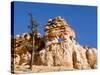 Limestone Formation, Bryce Canyon National Park, Utah, USA-Tom Norring-Stretched Canvas