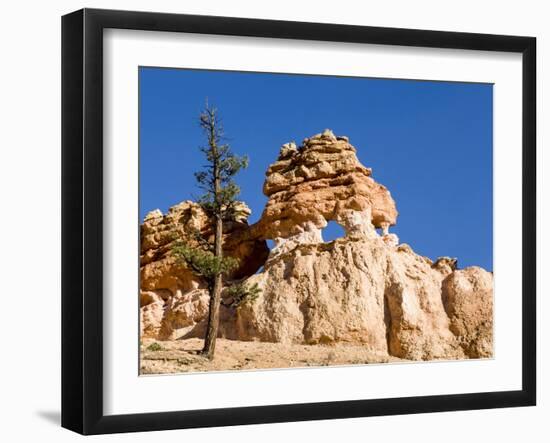 Limestone Formation, Bryce Canyon National Park, Utah, USA-Tom Norring-Framed Premium Photographic Print