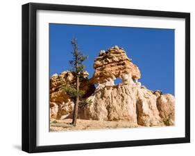 Limestone Formation, Bryce Canyon National Park, Utah, USA-Tom Norring-Framed Premium Photographic Print