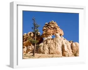 Limestone Formation, Bryce Canyon National Park, Utah, USA-Tom Norring-Framed Premium Photographic Print