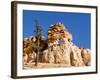 Limestone Formation, Bryce Canyon National Park, Utah, USA-Tom Norring-Framed Photographic Print