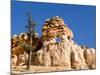 Limestone Formation, Bryce Canyon National Park, Utah, USA-Tom Norring-Mounted Photographic Print