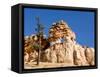 Limestone Formation, Bryce Canyon National Park, Utah, USA-Tom Norring-Framed Stretched Canvas