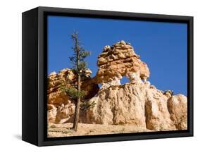 Limestone Formation, Bryce Canyon National Park, Utah, USA-Tom Norring-Framed Stretched Canvas