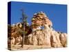 Limestone Formation, Bryce Canyon National Park, Utah, USA-Tom Norring-Stretched Canvas