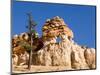 Limestone Formation, Bryce Canyon National Park, Utah, USA-Tom Norring-Mounted Photographic Print