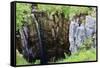 Limestone Formations and Waterfall at Buttertubs on the Pass from Wensleydale to Swaldale-Mark Sunderland-Framed Stretched Canvas