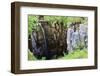 Limestone Formations and Waterfall at Buttertubs on the Pass from Wensleydale to Swaldale-Mark Sunderland-Framed Photographic Print