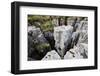 Limestone Formations at Buttertubs on the Pass from Wensleydale to Swaldale-Mark Sunderland-Framed Photographic Print