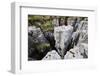 Limestone Formations at Buttertubs on the Pass from Wensleydale to Swaldale-Mark Sunderland-Framed Photographic Print