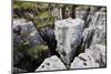 Limestone Formations at Buttertubs on the Pass from Wensleydale to Swaldale-Mark Sunderland-Mounted Photographic Print