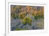 Limestone formations, Tsingy de Bemaraha Strict Nature Reserve, Madagascar-Art Wolfe-Framed Photographic Print