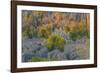 Limestone formations, Tsingy de Bemaraha Strict Nature Reserve, Madagascar-Art Wolfe-Framed Photographic Print