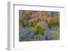 Limestone formations, Tsingy de Bemaraha Strict Nature Reserve, Madagascar-Art Wolfe-Framed Photographic Print