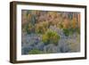 Limestone formations, Tsingy de Bemaraha Strict Nature Reserve, Madagascar-Art Wolfe-Framed Photographic Print