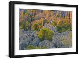 Limestone formations, Tsingy de Bemaraha Strict Nature Reserve, Madagascar-Art Wolfe-Framed Photographic Print