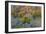 Limestone formations, Tsingy de Bemaraha Strict Nature Reserve, Madagascar-Art Wolfe-Framed Photographic Print