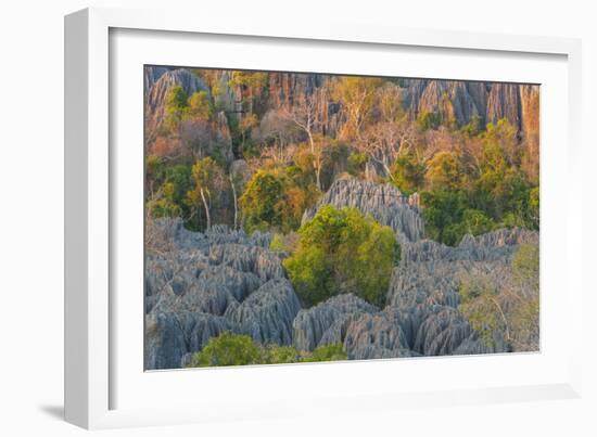 Limestone formations, Tsingy de Bemaraha Strict Nature Reserve, Madagascar-Art Wolfe-Framed Photographic Print