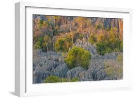 Limestone formations, Tsingy de Bemaraha Strict Nature Reserve, Madagascar-Art Wolfe-Framed Photographic Print