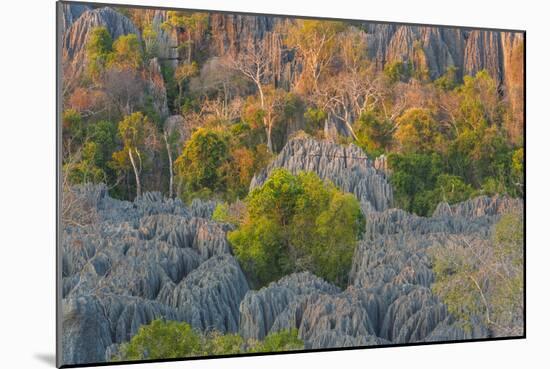 Limestone formations, Tsingy de Bemaraha Strict Nature Reserve, Madagascar-Art Wolfe-Mounted Photographic Print