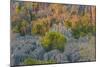 Limestone formations, Tsingy de Bemaraha Strict Nature Reserve, Madagascar-Art Wolfe-Mounted Photographic Print