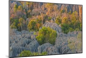 Limestone formations, Tsingy de Bemaraha Strict Nature Reserve, Madagascar-Art Wolfe-Mounted Photographic Print