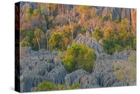 Limestone formations, Tsingy de Bemaraha Strict Nature Reserve, Madagascar-Art Wolfe-Stretched Canvas