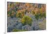 Limestone formations, Tsingy de Bemaraha Strict Nature Reserve, Madagascar-Art Wolfe-Framed Photographic Print