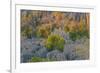 Limestone formations, Tsingy de Bemaraha Strict Nature Reserve, Madagascar-Art Wolfe-Framed Premium Photographic Print