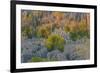 Limestone formations, Tsingy de Bemaraha Strict Nature Reserve, Madagascar-Art Wolfe-Framed Premium Photographic Print