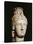 Limestone Head of Cleopatra I or II-null-Stretched Canvas