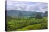 Limestone Hill, Farming Land in Vinales Valley, UNESCO World Heritage Site, Cuba-Keren Su-Stretched Canvas