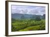 Limestone Hill, Farming Land in Vinales Valley, UNESCO World Heritage Site, Cuba-Keren Su-Framed Photographic Print