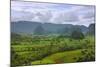 Limestone Hill, Farming Land in Vinales Valley, UNESCO World Heritage Site, Cuba-Keren Su-Mounted Photographic Print