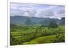 Limestone Hill, Farming Land in Vinales Valley, UNESCO World Heritage Site, Cuba-Keren Su-Framed Photographic Print