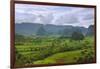 Limestone Hill, Farming Land in Vinales Valley, UNESCO World Heritage Site, Cuba-Keren Su-Framed Photographic Print