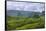 Limestone Hill, Farming Land in Vinales Valley, UNESCO World Heritage Site, Cuba-Keren Su-Framed Stretched Canvas