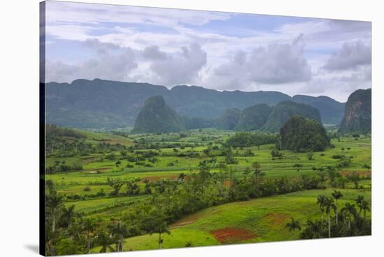 Limestone Hill, Farming Land in Vinales Valley, UNESCO World Heritage Site, Cuba-Keren Su-Stretched Canvas