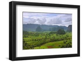 Limestone Hill, Farming Land in Vinales Valley, UNESCO World Heritage Site, Cuba-Keren Su-Framed Photographic Print