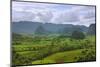 Limestone Hill, Farming Land in Vinales Valley, UNESCO World Heritage Site, Cuba-Keren Su-Mounted Photographic Print